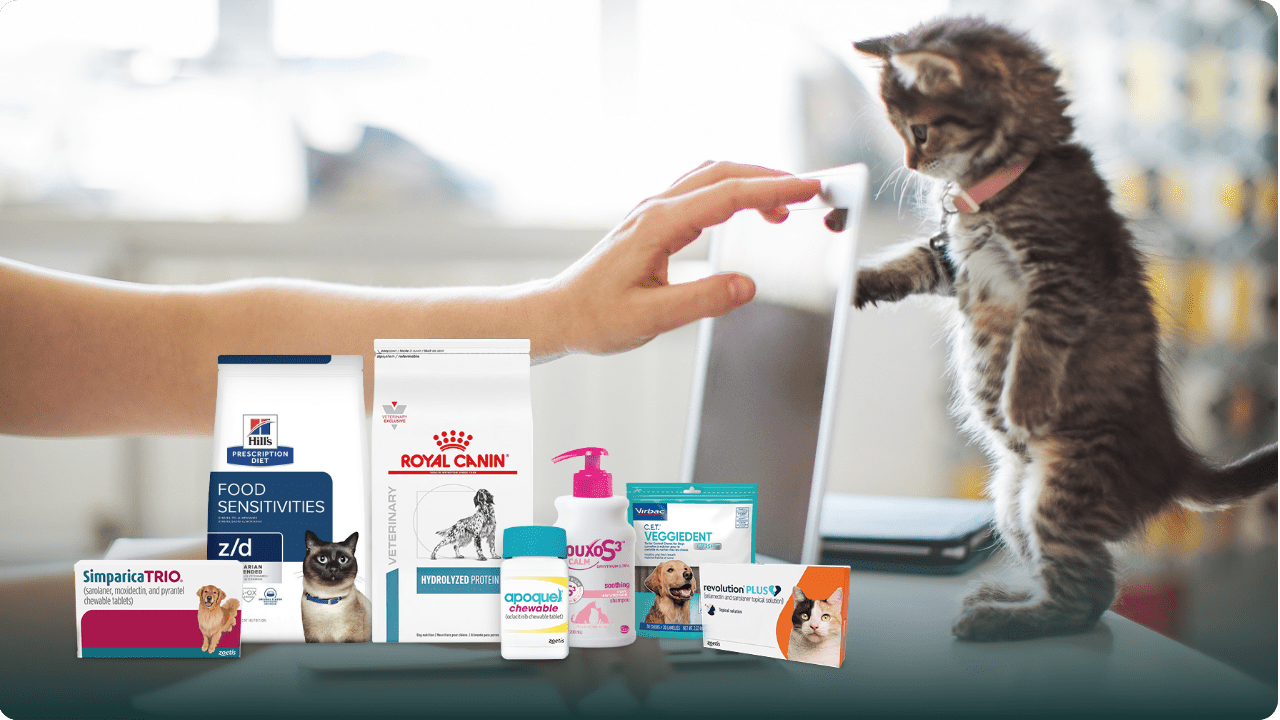 tabby kitten standing on back legs looking at VCA product selections