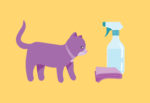 spring cleaning cat