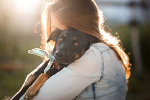 support local shelters
