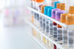 blood work tells what pets cant