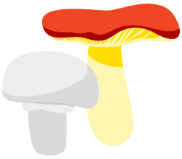 pet poison- lawn mushrooms