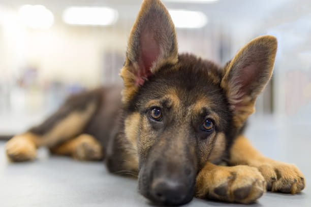 Hot spots—what are they and how to treat them?