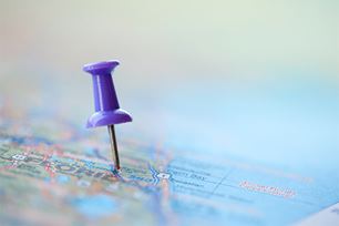 top pet toxins by state