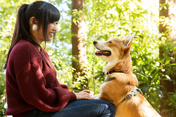 6 tips to help soothe your pet’s tummy troubles