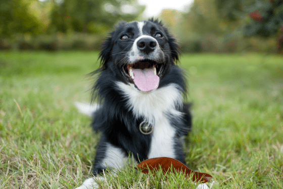 True or False? Exercise makes osteoarthritis worse.