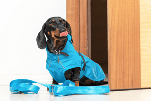 prepare for natural disasters