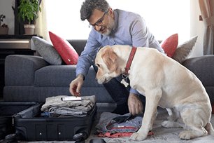 pet travel
