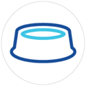 nutrition_and_general_health