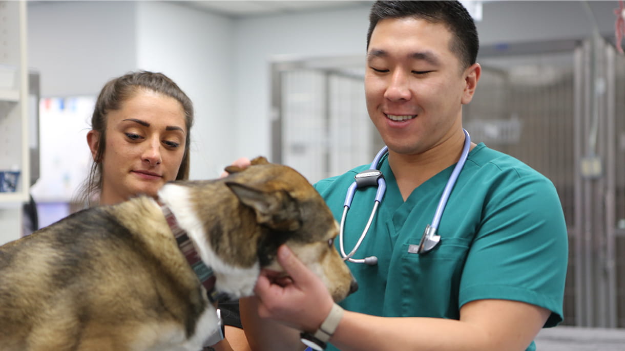 Internship and Residency Programs