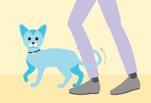 SOL_NL16_A7_K_LegWrap