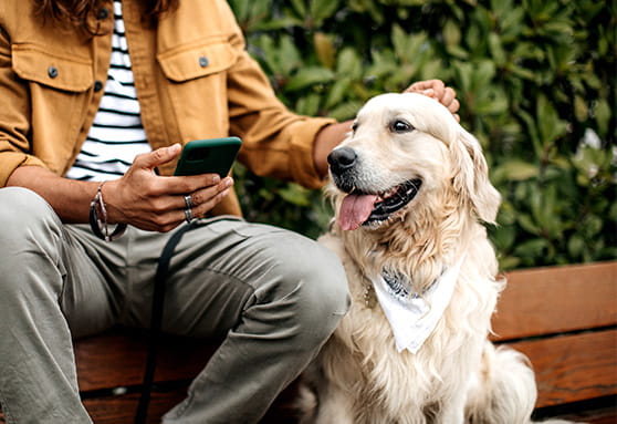 How to care for your puppy into adulthood