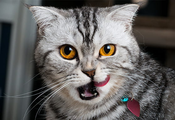 Keep up the brushing!