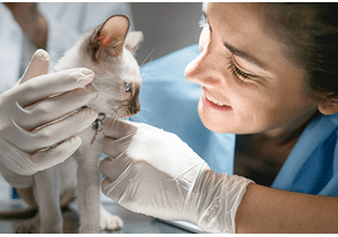 kitten rabies vaccine