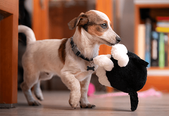 The art of “drop it”