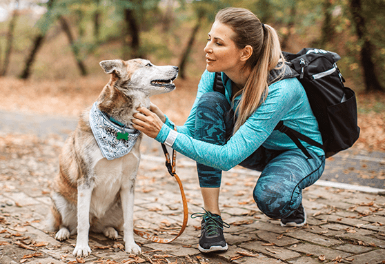 Things to remember if you hike with your puppy