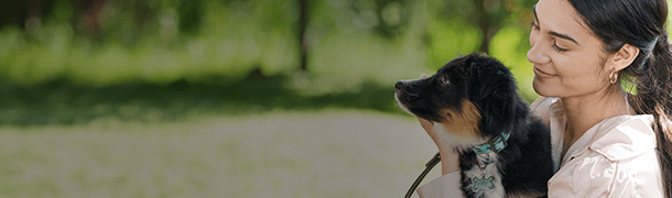 puppy wearing collar being pet by owner outside