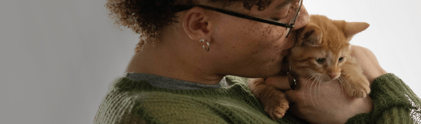 young orange kitten being kissed by it's owner