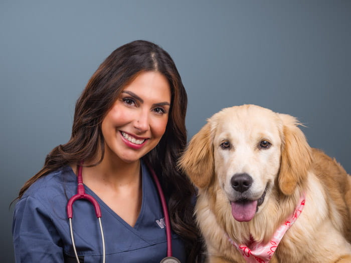 Article Details Page - Download