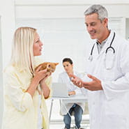 /-/media/2/vca/images/global/185x185_generic_map_ourhospital.jpg?rev=565dad13413147a1887698b6755fd41b