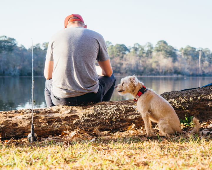 Dog outdoors sitting next to owner on log