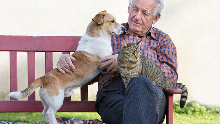 Man with dog and cat