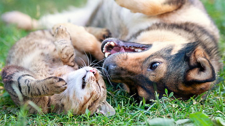 720x405 CommunityPartners Option17