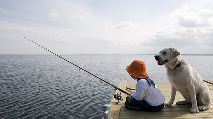 720x405 CommunityPartners Option19