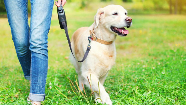 720x405 CommunityPartners Option2