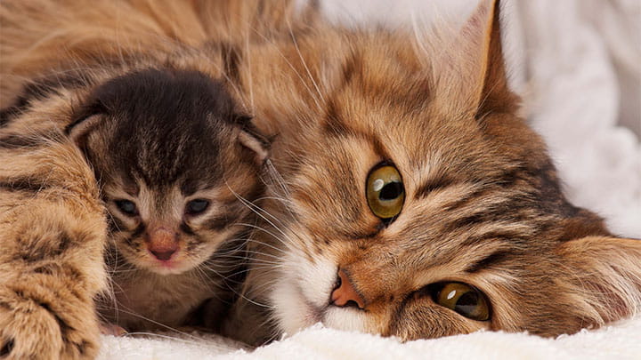 720x405 CommunityPartners Option22