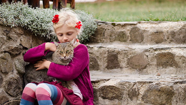 720x405 CommunityPartners Option26