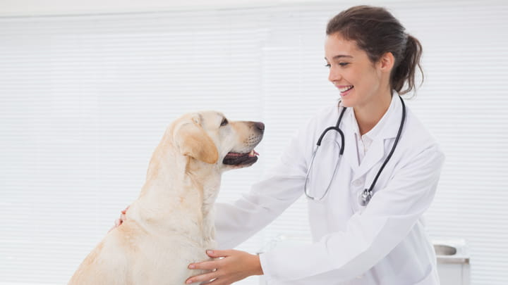 720x405 CommunityPartners Option33