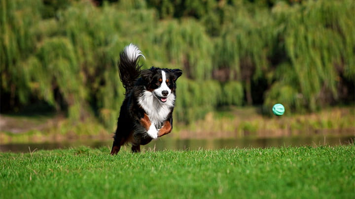 720x405 CommunityPartners Option5