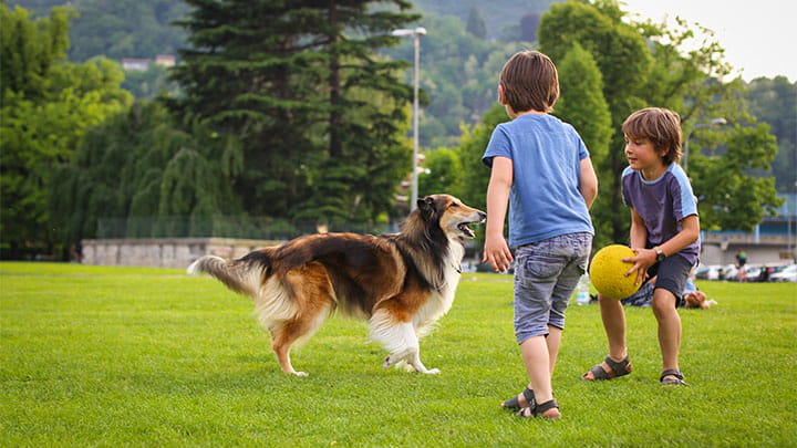 720x405 CommunityPartners Option9