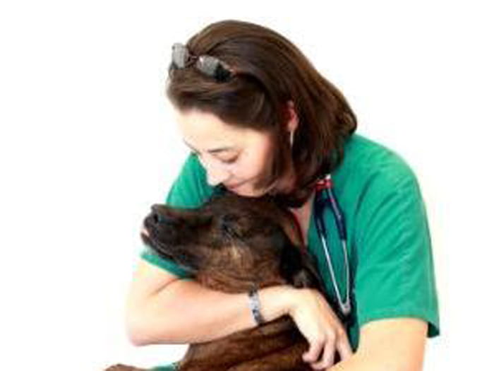 700x525 animal medical center anniston BrandyNelson