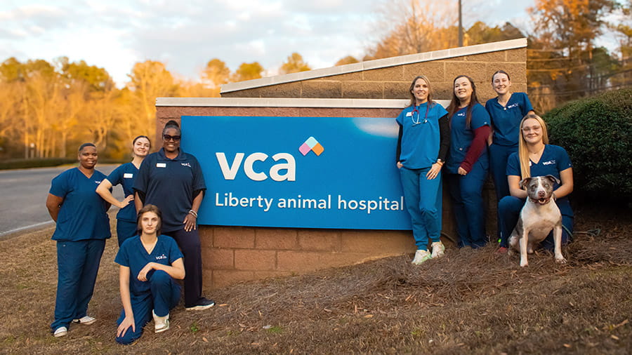 VCA Liberty Animal Hospital Team