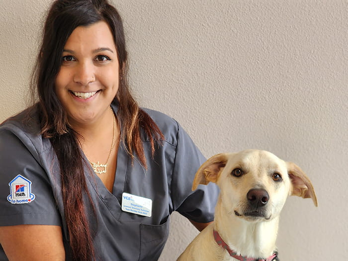 Stephanie Staff Photo