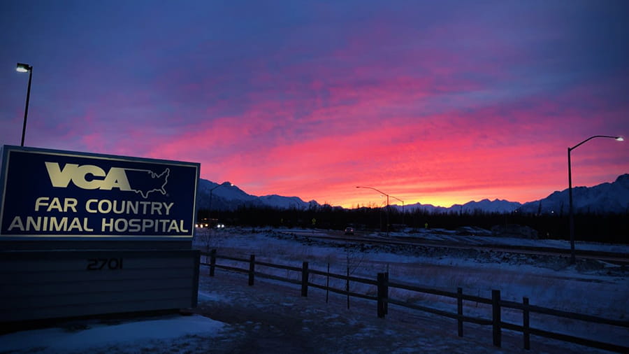 VCA Far Country Animal Hospital at sunset
