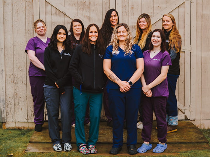 VCA Far Country Animal Hospital Veterinarian Support Team