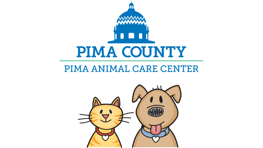 876x493 animal health hospital PimaAnimal
