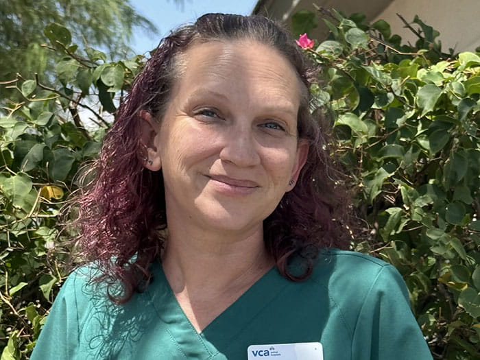 Stephanie Staff Photo