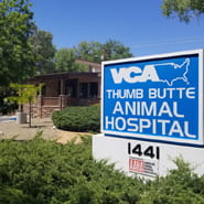 /-/media/2/vca/images/hospitals/united-states/arizona/thumb-butte/galleries/185x185_thumb-butte_map_ourhospital.jpg?rev=256813b5d60c4605a0f077ad96b2eba0