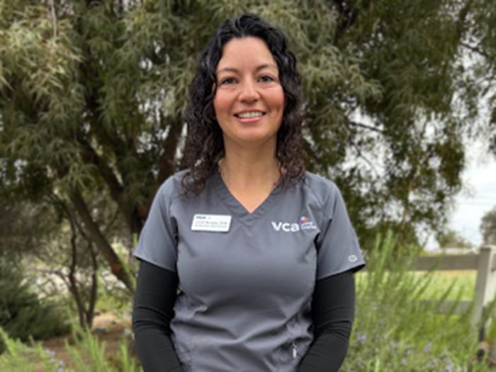 Dr. Julie Murphy Staff Photo