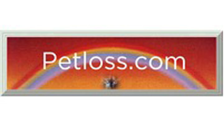 Pet loss