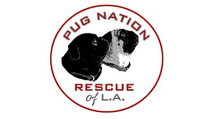 Pug Nation Rescue