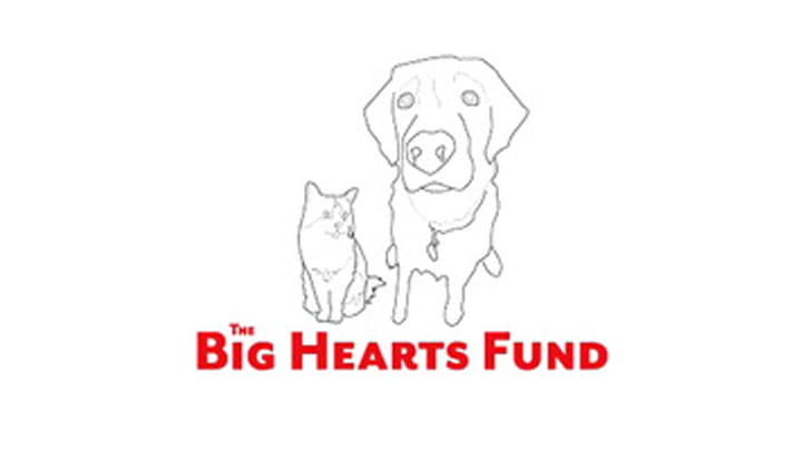 The Big Hearts Fund