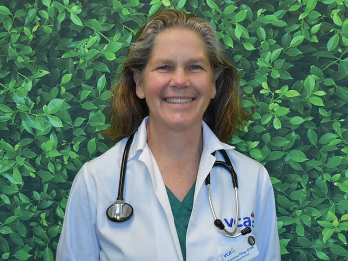 Dr. Anndrea Fling Staff Photo