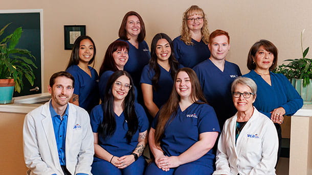 VCA American River Animal Hospital Team Photo