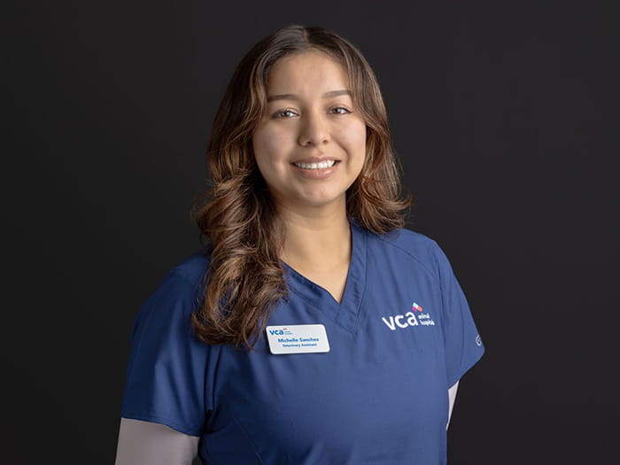 Michelle Sanchez Staff Photo