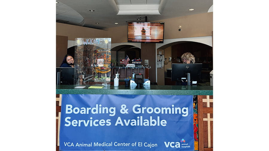 VCA Animal Medical Center of El Cajon Lobby