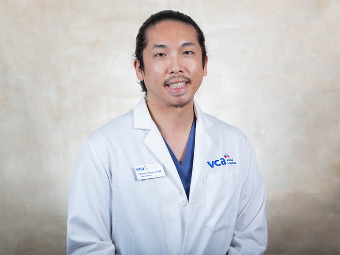 Dr. Martin Kwan Staff Photo